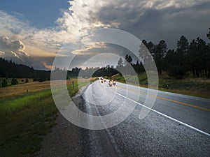 Scenic Black Hills Sunset with winding roads and motorcyclists