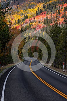 Scenic byway 150 passing through Uinta Wasatch Cache National forest in Utah