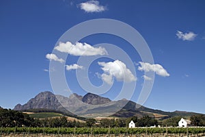 Scenic Cape Boland wine estate South Africa