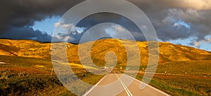 Scenic Carrizo plain national monument landscape with super bloom