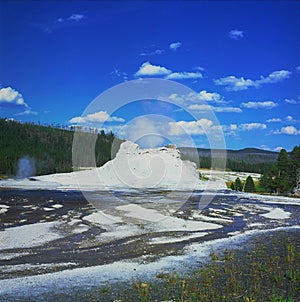 Scenic Castle Geyser - Yellowstone National Park