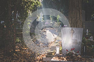 scenic cemetery in foggy sunny day with mysterious atmosphere