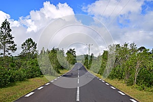 Scenic clean quiet tranquil road in rural or outskirt area with green trees and blue sky