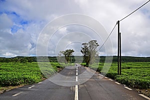 Scenic clean quiet tranquil road in rural or outskirt area with tea plantation on both sides and blue sky