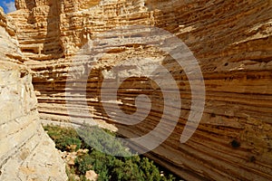 Scenic cliffs of Ein Avdat Ein Ovdat gorge in Israel