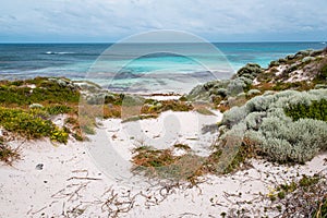 Scenic coastal view of Rottnest Island with turquoise water of the ocean. Wild beach landscape