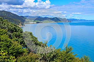 Scenic coastline at Hawai Bay in the Bay of Plenty region, New Zealand