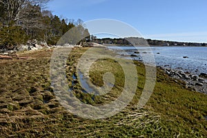 Scenic Coastline with Sea Grasses and Salt Marsh