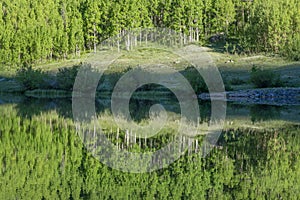 Scenic Colorado Wilderness Lake Reflection