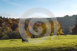 Scenic Cotswolds - Autumn