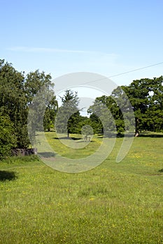 Scenic Cotswolds - Minchinhampton Common