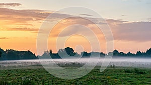 Scenic country landscape with fog over a meadow with trees in the early morning. End of summer, beginning of autumn