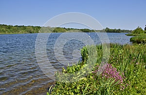 Scenic Country Park of East England