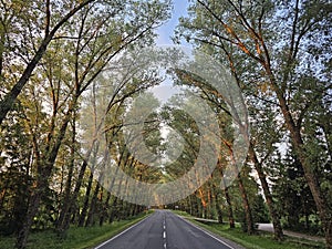 Scenic country road in Lithuania