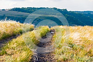 Scenic countryside landscape with rural dirt road