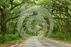 Scenic Countryside Road