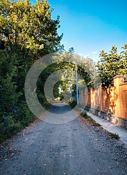 Scenic countryside rural path alley in summer