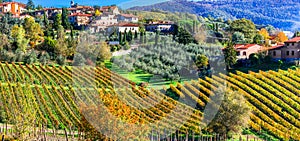 Scenic countryside with vineyards in autumn colors. Tuscany, Beautiful Italy series photo