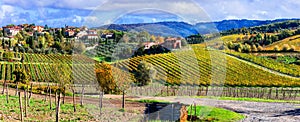 Scenic countryside with vineyards in autumn colors. Tuscany, Italy photo