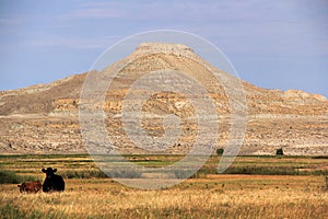 Scenic Crowheart Butte