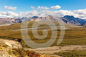 Scenic Denali National Park Landscape