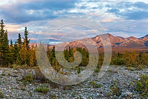 Scenic Denali National Park Landscape in Autumn