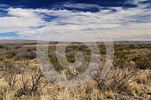 Scenic Desert Landscape