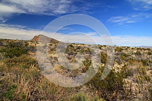 Scenic Desert Landscape