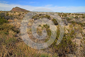 Scenic Desert Landscape