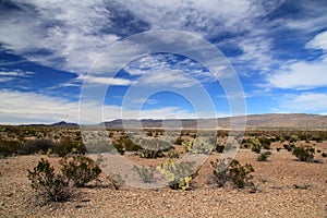 Scenic Desert Landscape