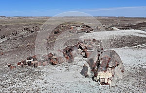 Scenic Desert Landscape with Preserved Petrified Logs