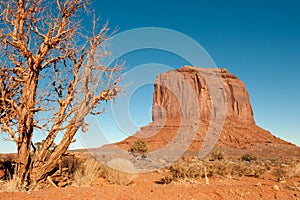 Scenic desert plateau