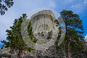 Scenic Devils Tower Between Trees