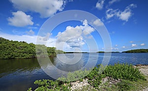 Scenic Ding Darling Lake on Sanibel Island