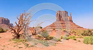 Scenic Drive on Dirt Road through Monument Valley, The famous Buttes of Navajo tribal Park, Utah - Arizona, USA. Scenic road and