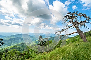 Scenic drive from Lane Pinnacle Overlook on Blue Ridge Parkway in summer.