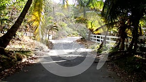 A scenic drive through the windward side of bequia