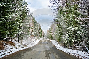 Scenic early spring view with snowy dirt road through the pass, green larch trees, snow and forest on the slopes against