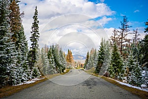 Scenic early spring view with snowy dirt road through the pass, green larch trees, snow and forest on the slopes against