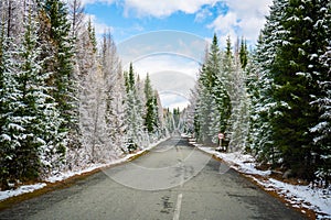 Scenic early spring view with snowy dirt road through the pass, green larch trees, snow and forest on the slopes against