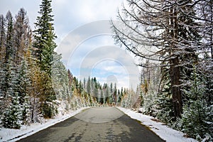 Scenic early spring view with snowy dirt road through the pass, green larch trees, snow and forest on the slopes against