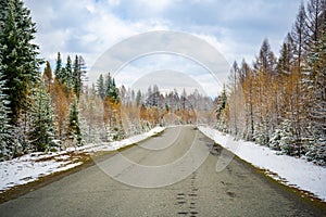 Scenic early spring view with snowy dirt road through the pass, green larch trees, snow and forest on the slopes against