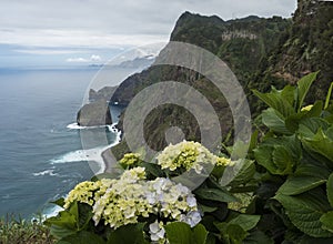 Scenic elevated view towards the Rocha do Navio Reserve and Ponta de Catarina Pires cape. Ocean, blooming hydrangea photo