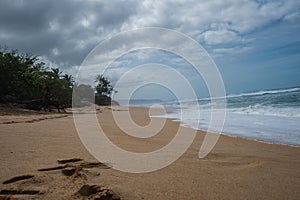 Scenic empty sandy beach against the seascape in Hawaii