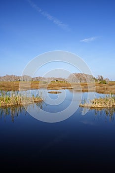 Scenic Everglades