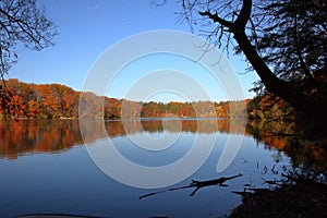 Senic fall color in Bond Lake Richmond Hill Ontario photo