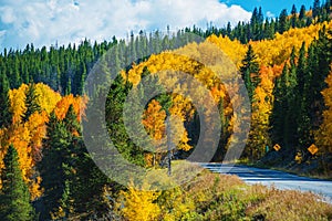 Scenic Fall Colorado Road