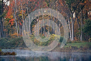 Scenic fall season in a forest preserve in Northern Illinois