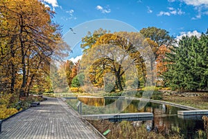 The New York Botanical Garden