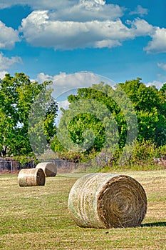 Scenic farm landscape with rolled hay bales, trees and blue sky